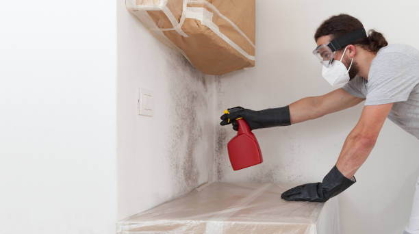 Professional Mold Inspection And Testing technician working in Millis, MA